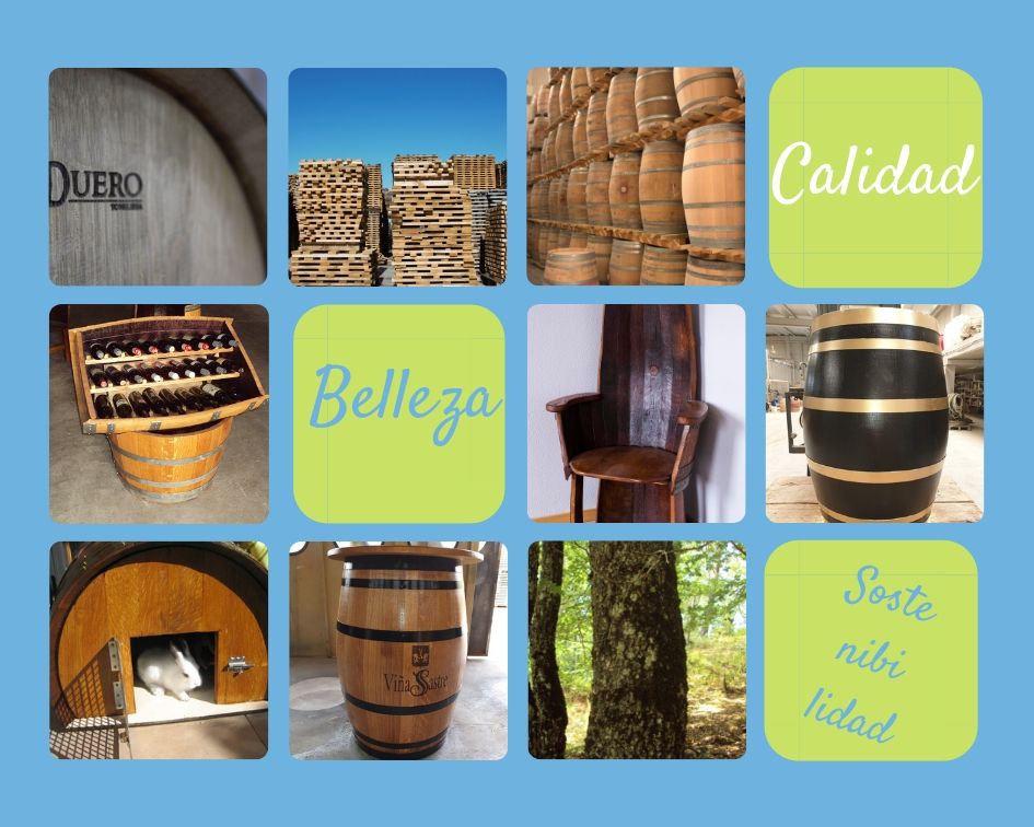calidad belleza sostenibilidad